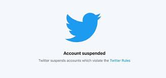 Account Suspensions 