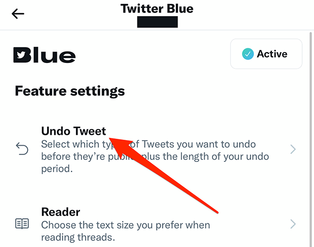 Twitter Blue Undo Tweet 