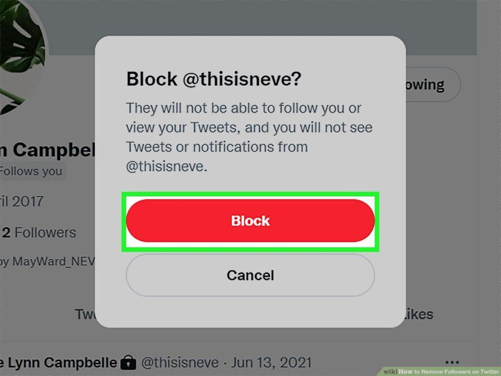 How Can I Remove or Block Bot Followers on Twitter