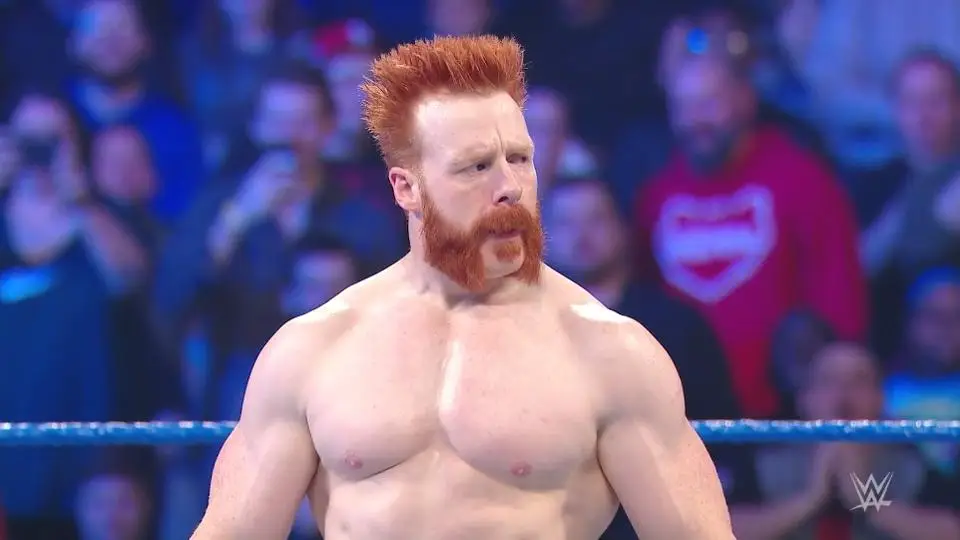 Sheamus Deletes His Twitter